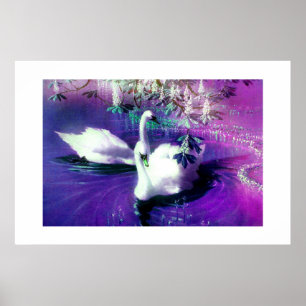 SWAN SPIRITS POSTER