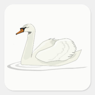 Swan Square Sticker
