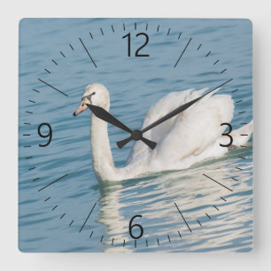 Swan Square Wall Clock