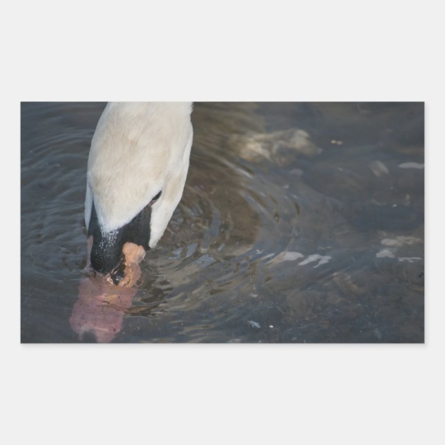 Swan Stickers (Front)