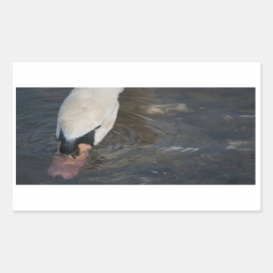 Swan Stickers