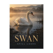 Swan Still Lakes Wildlife ANIMAL