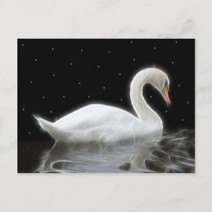 Swan Swimming at Night Postcard