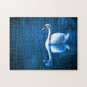 Swan Swimming in Lake Jigsaw Puzzle Photo