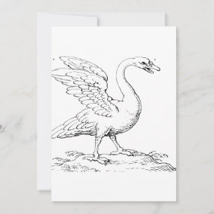 Swan Symbol of Love and Fidelity Fine Art Invitation