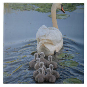 Swan Tile