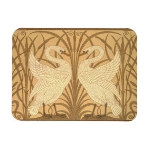 Swan wallpaper design magnet