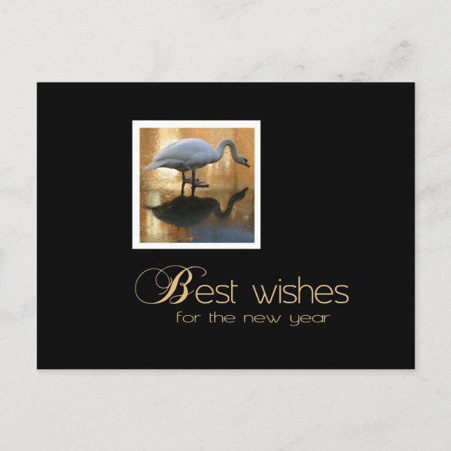 swan wishes postcard (Front)