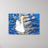 Swan with Reflections
