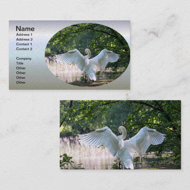 Swan with Wings Spread Business Card (Front/Back)