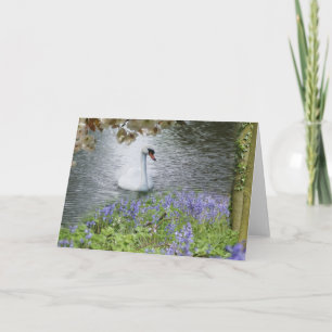 Swan Woodland And Blossom Blank Note Card