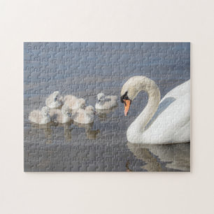 Swan & Young Cygnets Jigsaw Puzzle