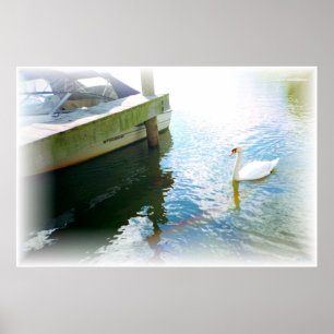 Swanboat Poster