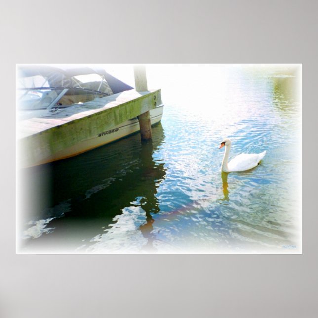 Swanboat Poster (Front)