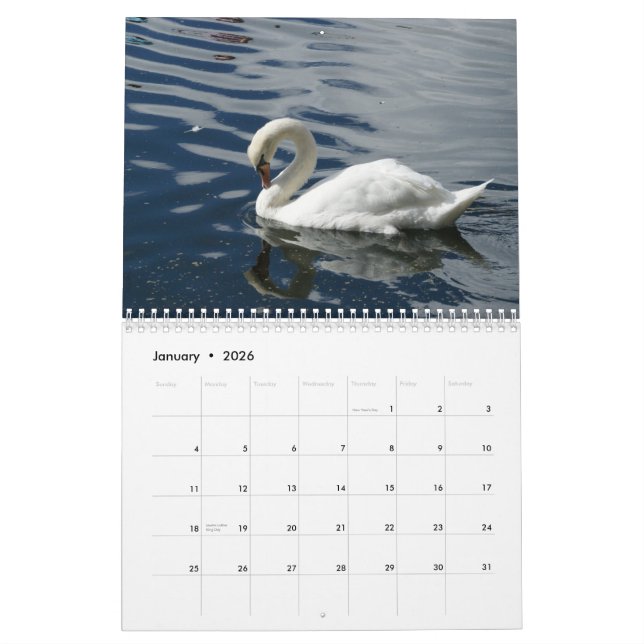 Swans 2012 Calendar (Jan 2026)
