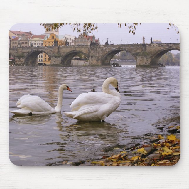 Swans and Charles bridge in Prague Mouse Mat (Front)