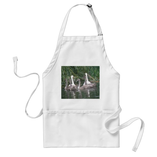 Swans and Cygnets Apron (Front)