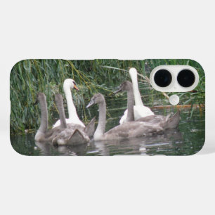 Swans and Cygnets iPhone 16 Case