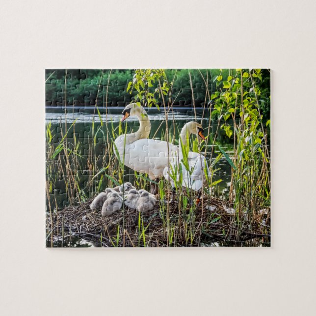Swans and Cygnets Jigsaw Puzzle (Horizontal)