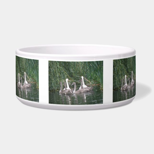 Swans and Cygnets Pet Bowl (Front)