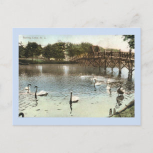 Swans and the Bridge, Spring Lake, NJ Vintage Postcard