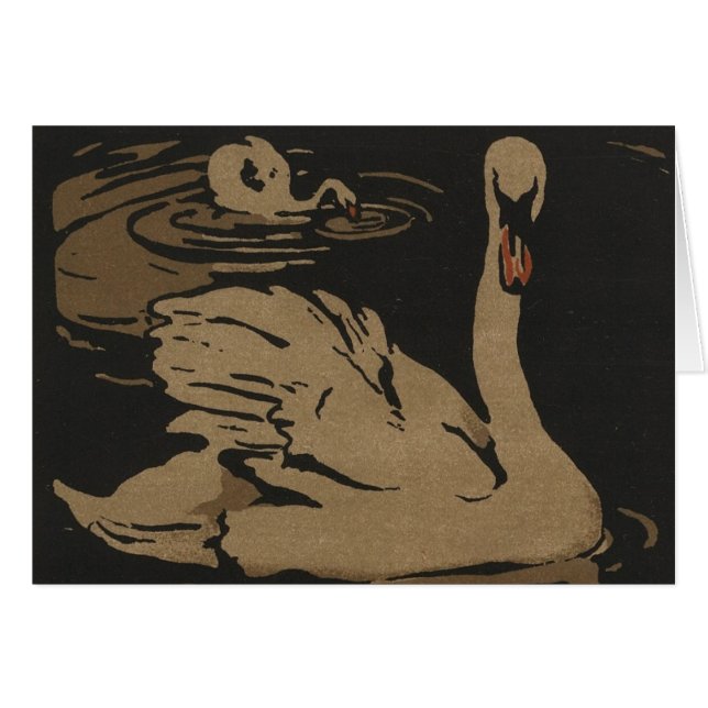 Swans and Their Reflections (Front Horizontal)