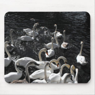 Swans away mouse mat