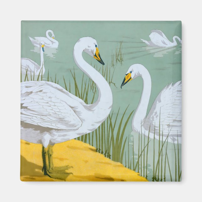 Swans By Verneuil Magnet (Front)