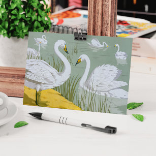 Swans By Verneuil Postcard