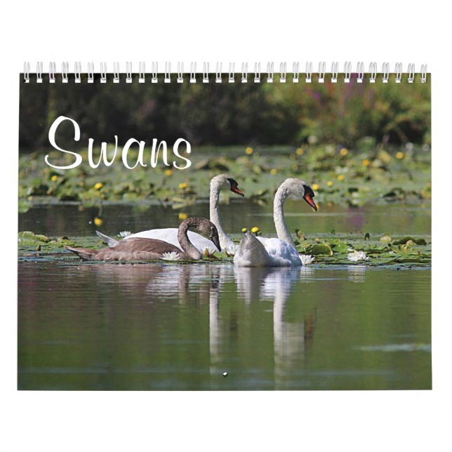 Swans Calendar (Cover)