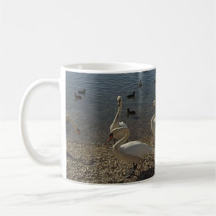 Swans cup