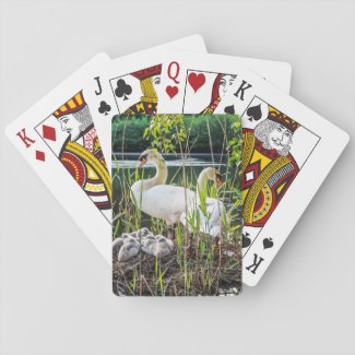 Swans & Cygnets Playing Cards