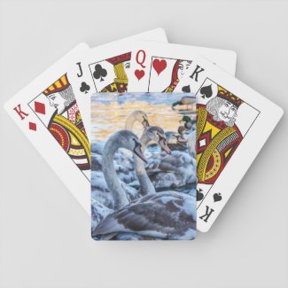 Swans & Cygnets Playing Cards