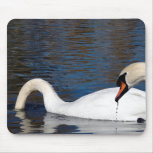 Swans Feeding Mouse Mat
