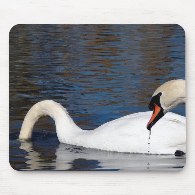 Swans Feeding Mouse Mat (Front)