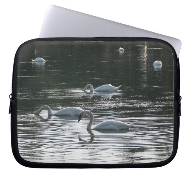 Swans Feeding, Roath Park Lake, Cardiff Laptop Sleeve (Front)