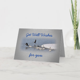 Swans & Geese embbk- customise any occasion Card