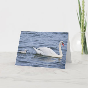 Swans Greeting Card