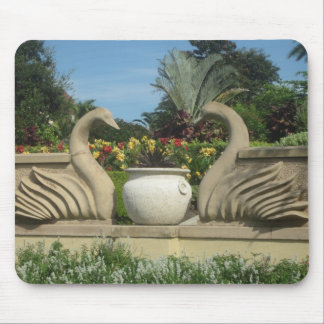 Swans Guarding Hollis Gardens Mouse Mat