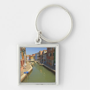 Swans in canal, Burano Island, Venice, Italy Key Ring