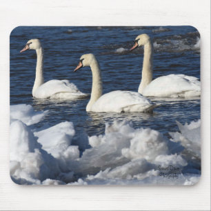 Swans in Icey River Mouse Mat