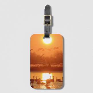 Swans in Lake at Sunset Luggage Tag