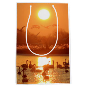 Swans in Lake at Sunset Medium Gift Bag