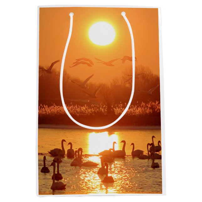 Swans in Lake at Sunset Medium Gift Bag (Front)