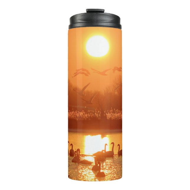 Swans in Lake at Sunset Thermal Tumbler (Front)