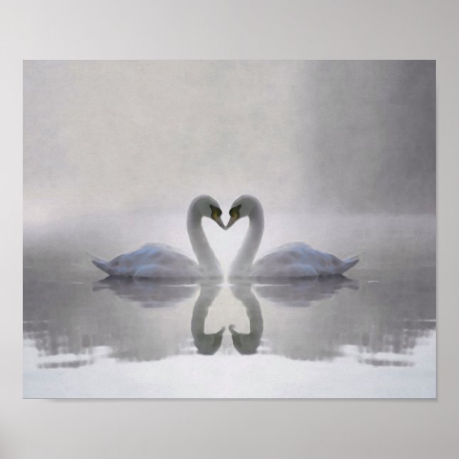 Swans in Love ~ Poster (Front)