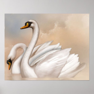 Swans In On A Lake Poster