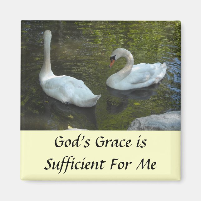Swans Inspirational Message Magnet (Front)