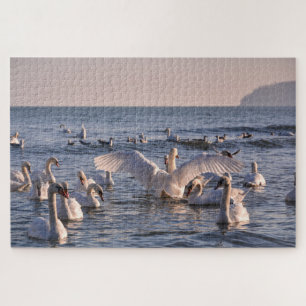 Swans Jigsaw Puzzle