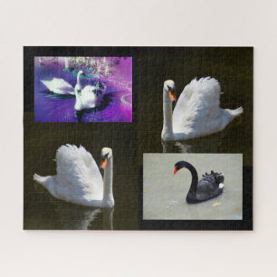 Swans Jigsaw Puzzle